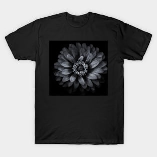 Backyard Flowers In Black And White 69 T-Shirt